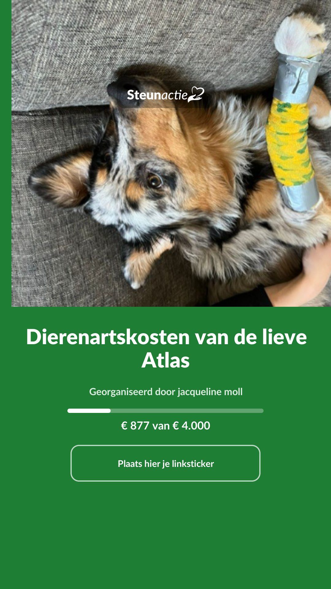 Voorbeeld van de afbeelding