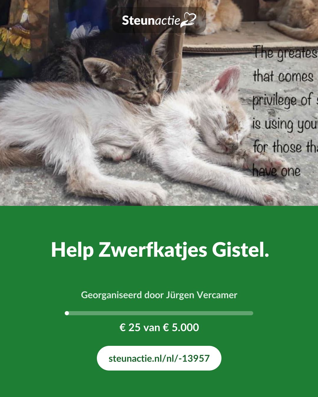 Voorbeeld van de afbeelding