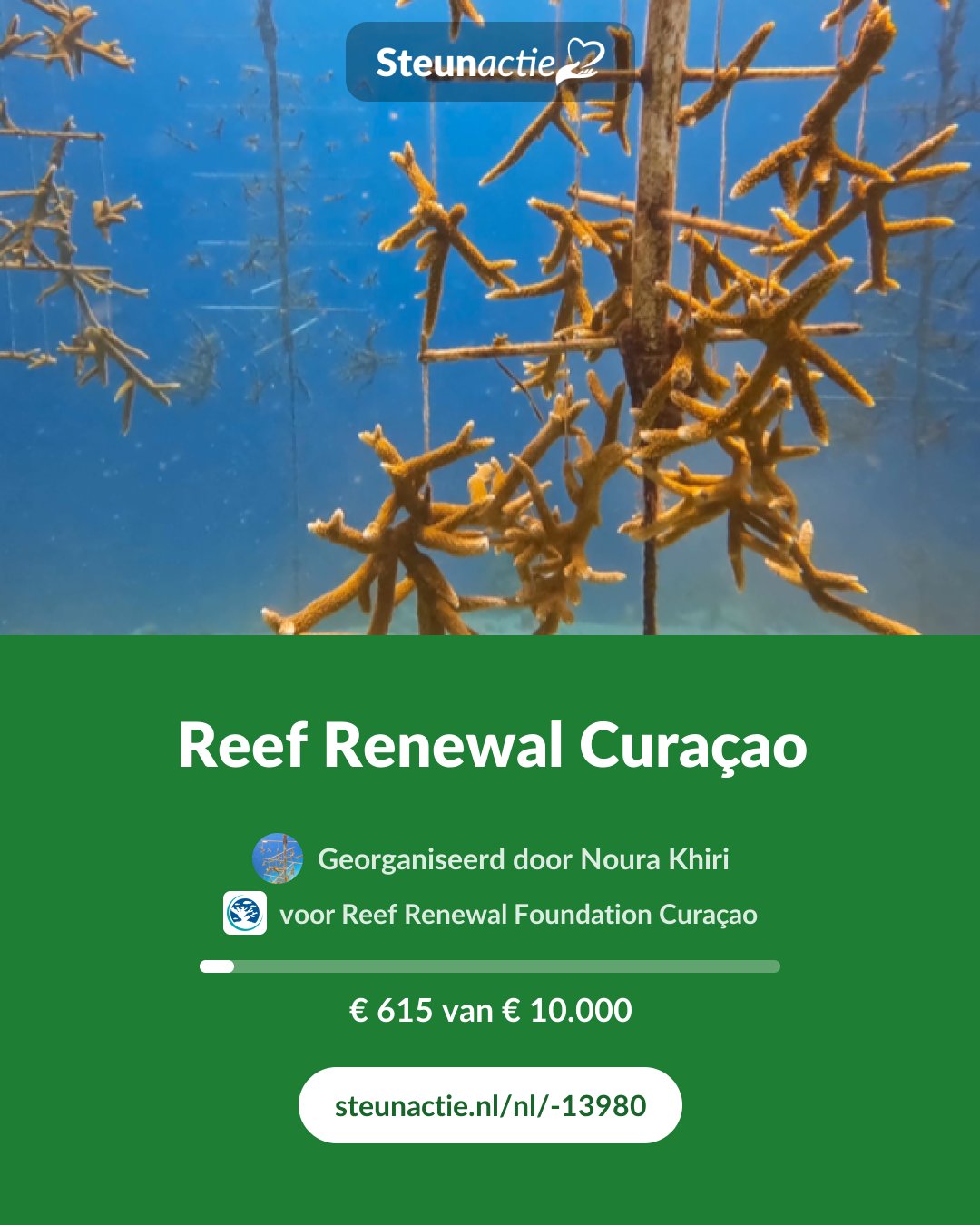 Voorbeeld van de afbeelding