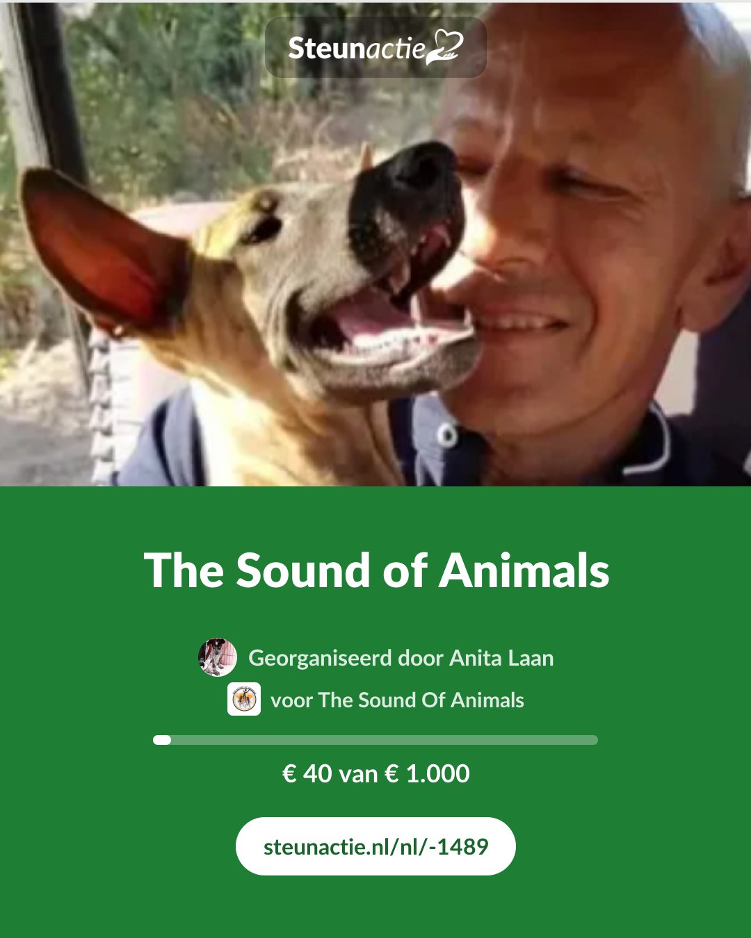 Voorbeeld van de afbeelding