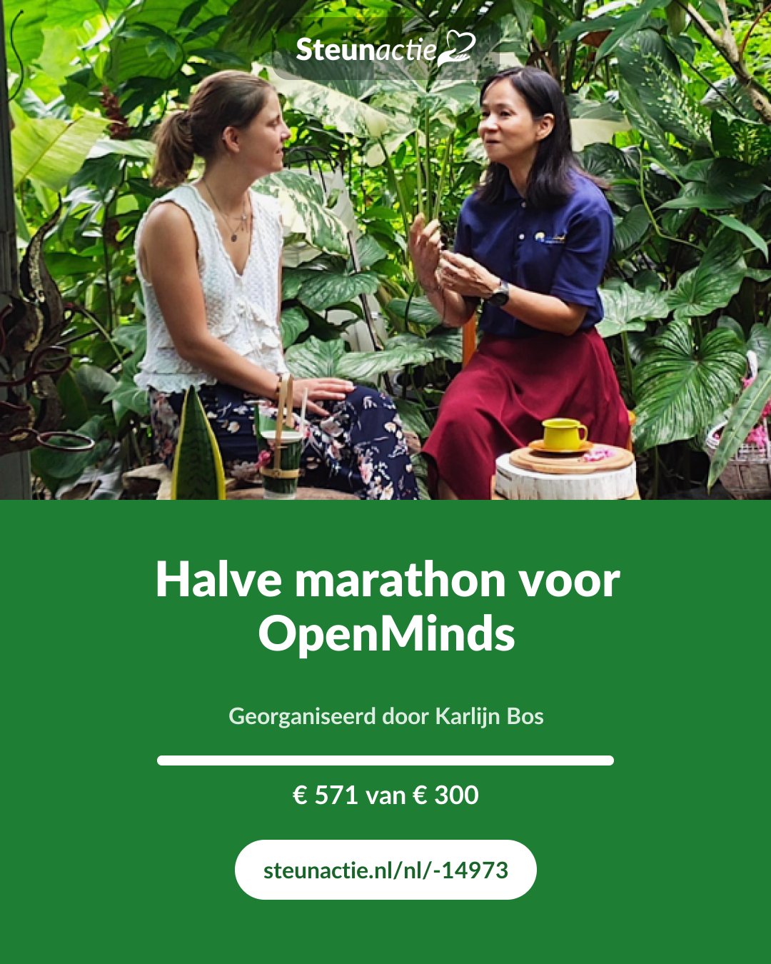 Voorbeeld van de afbeelding