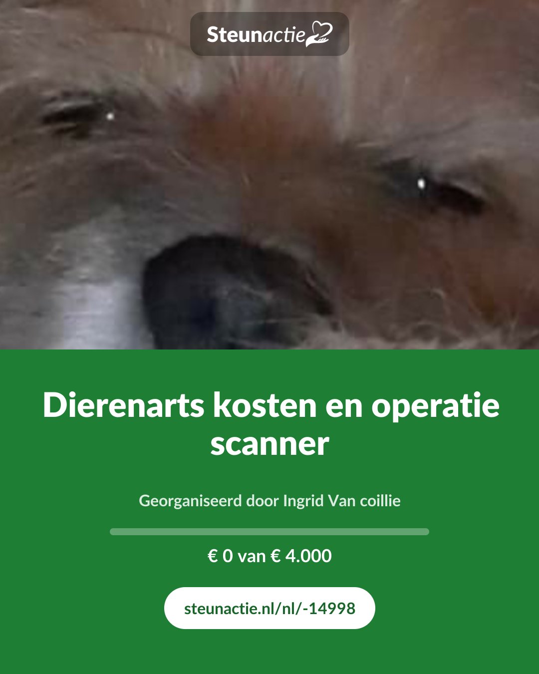 Voorbeeld van de afbeelding