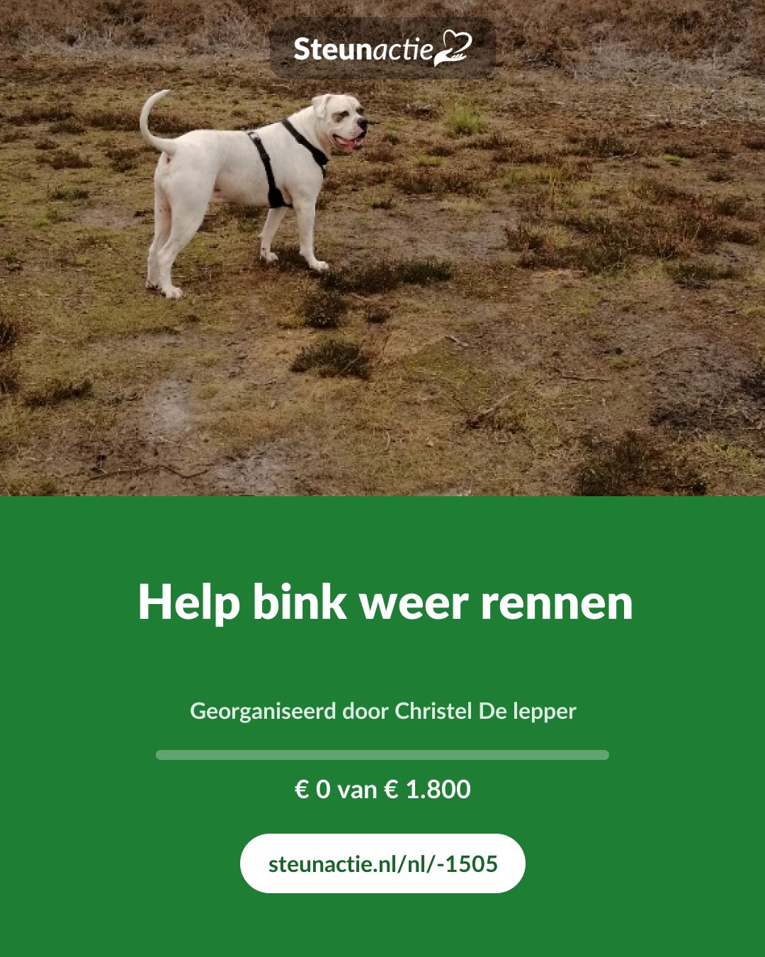 Voorbeeld van de afbeelding