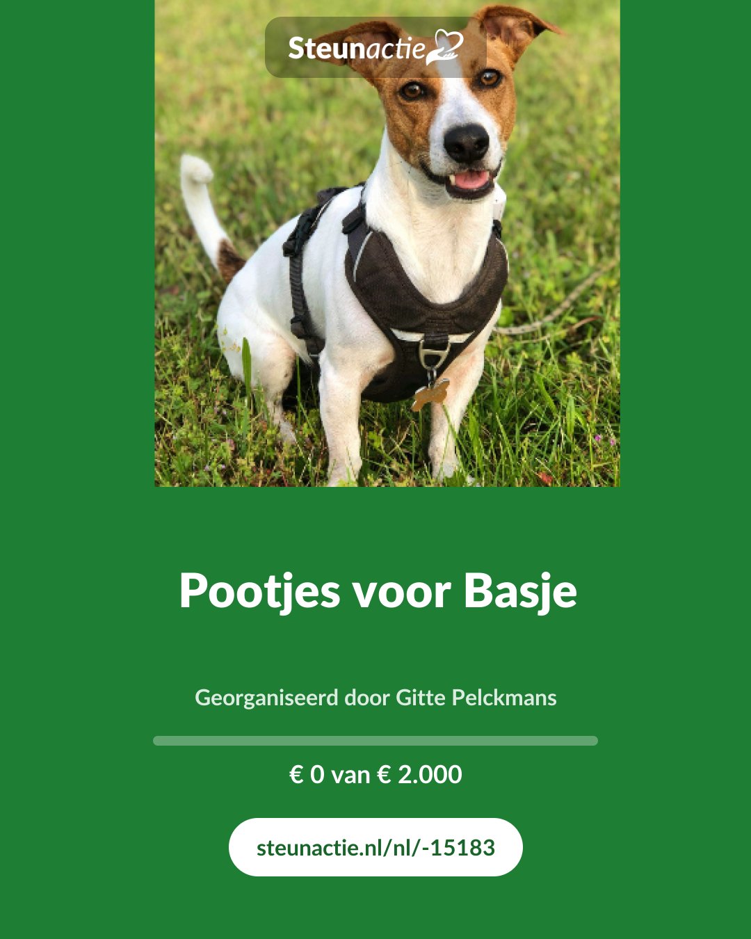 Voorbeeld van de afbeelding