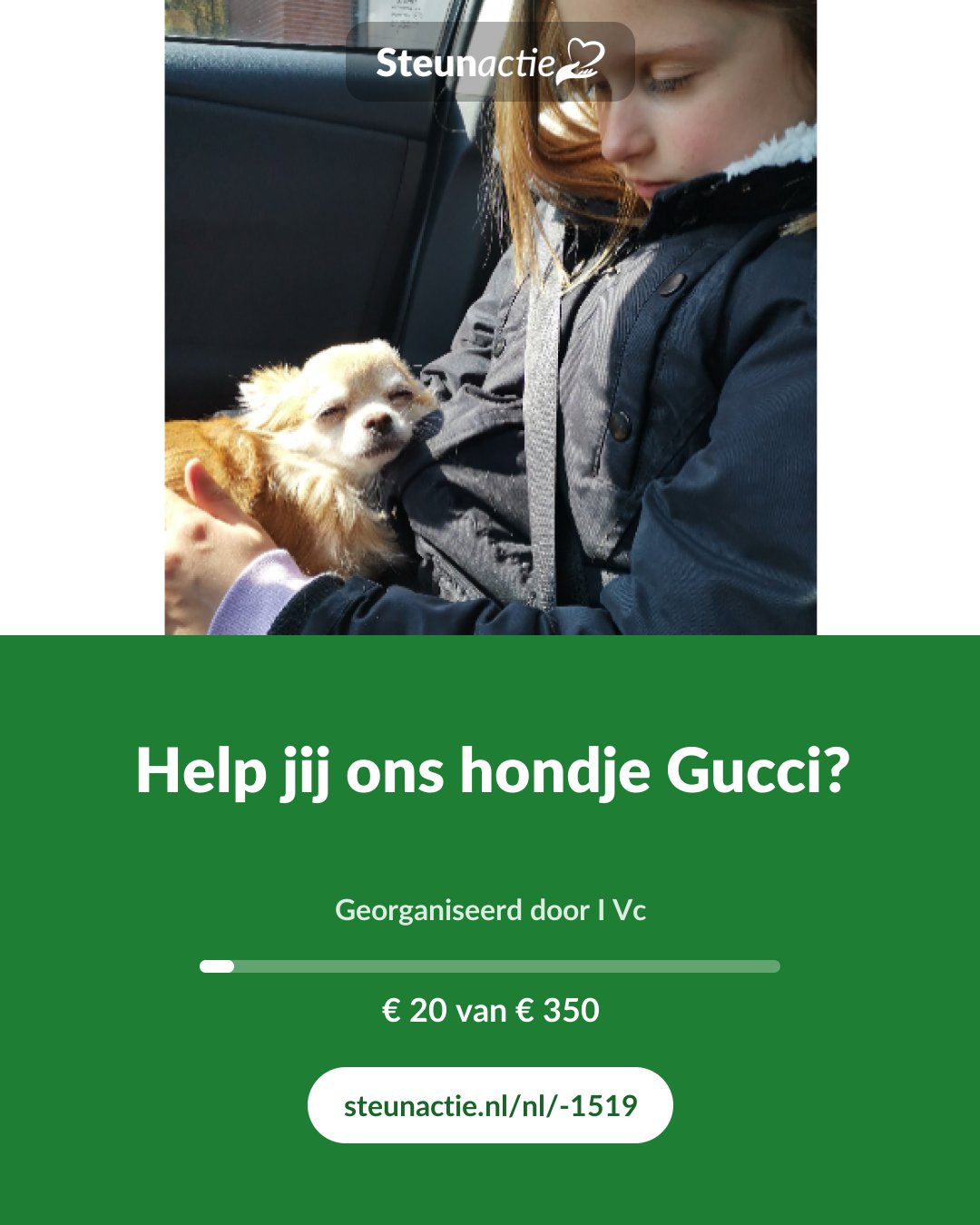 Voorbeeld van de afbeelding