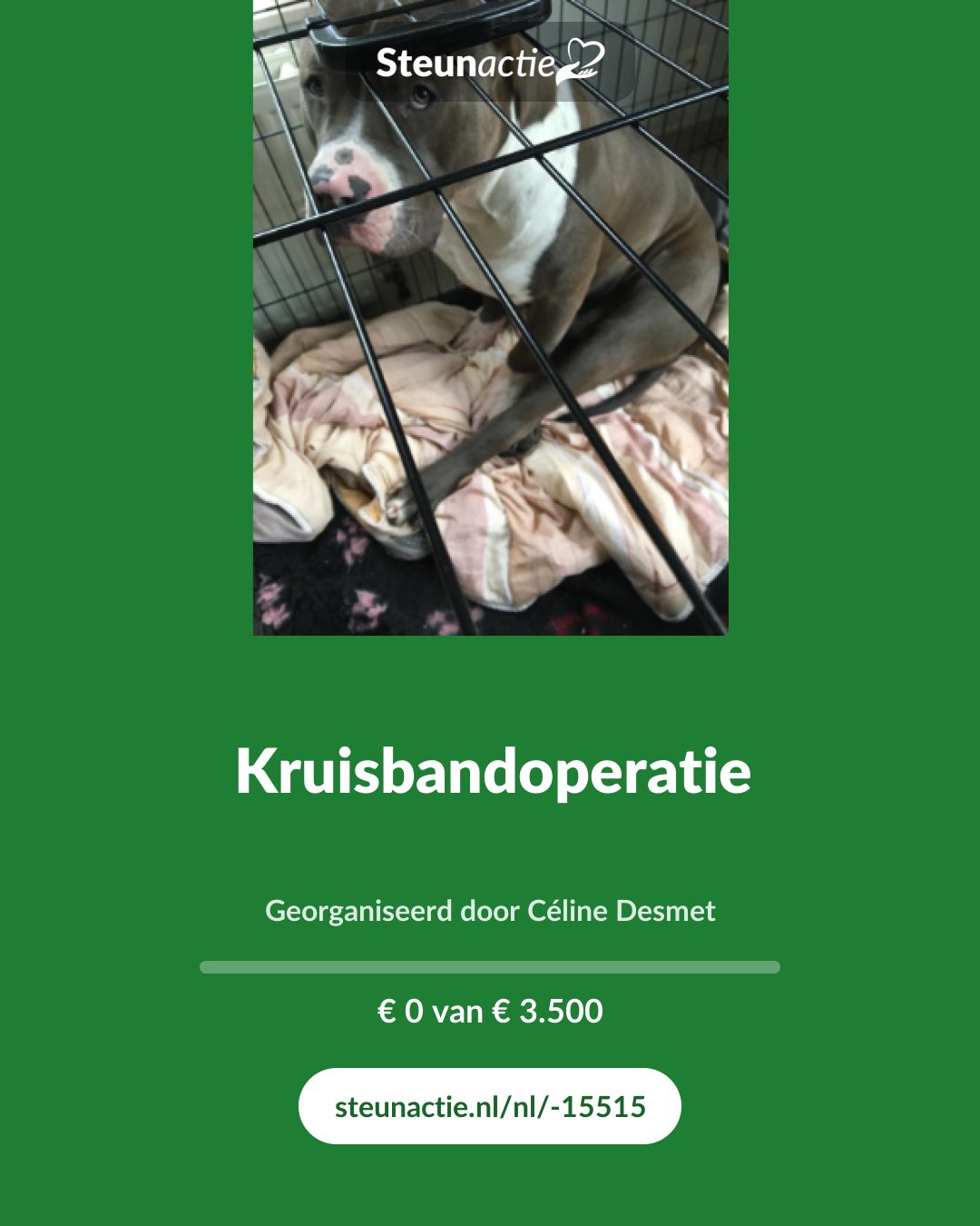 Voorbeeld van de afbeelding
