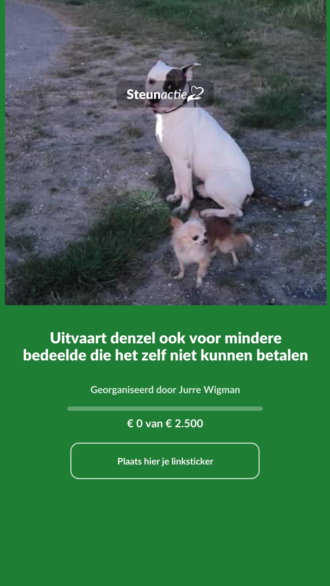 Voorbeeld van de afbeelding