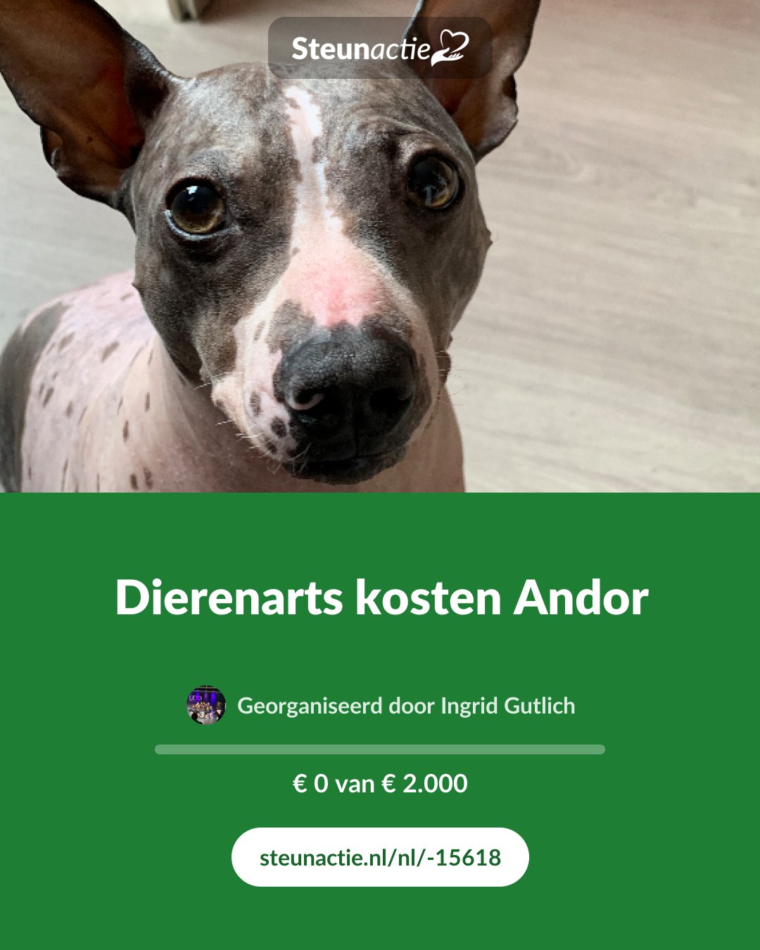 Voorbeeld van de afbeelding