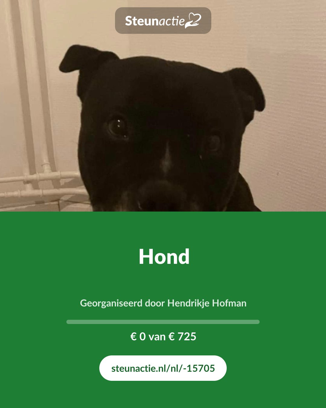 Voorbeeld van de afbeelding