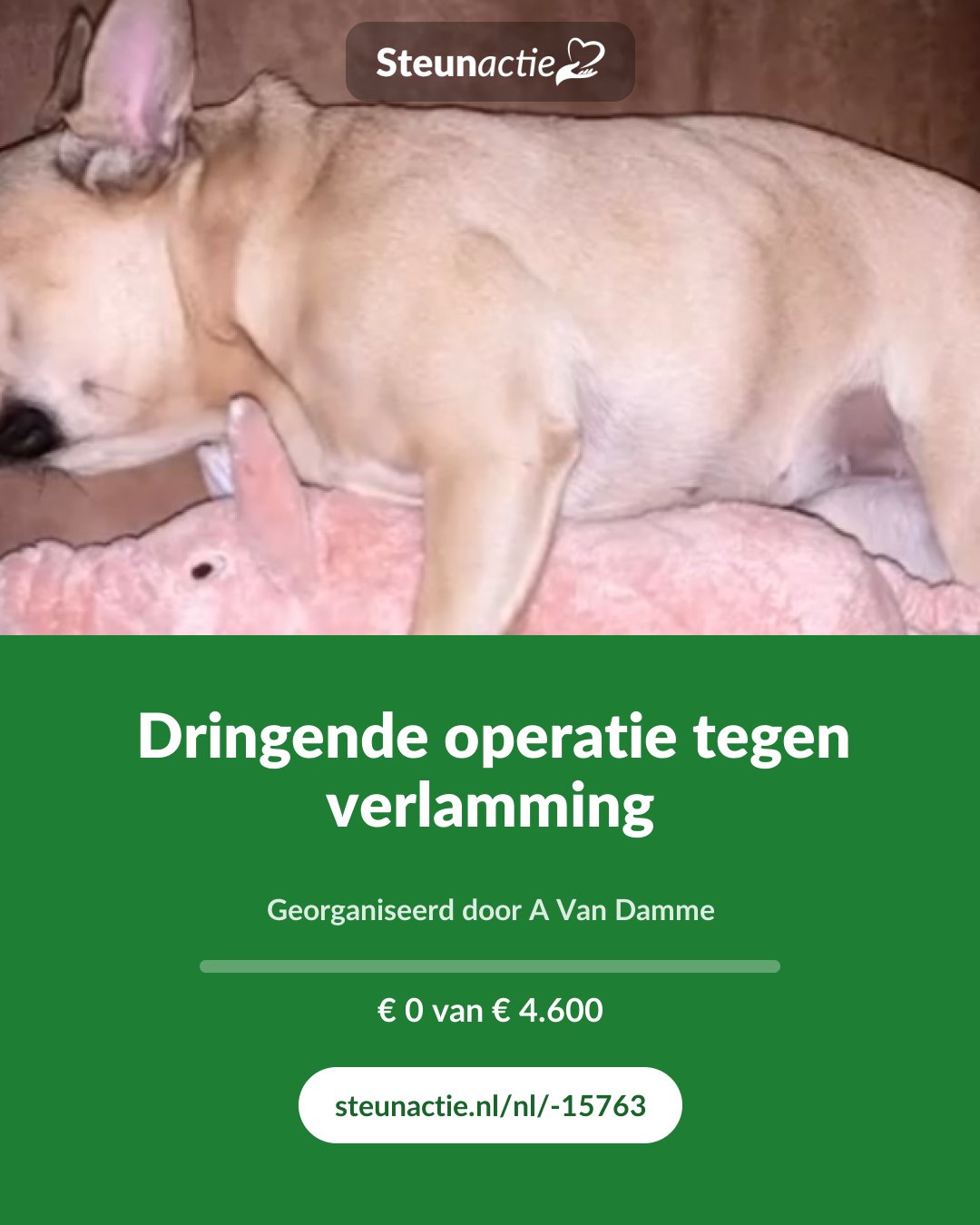 Voorbeeld van de afbeelding