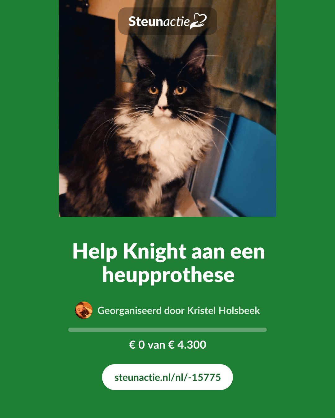 Voorbeeld van de afbeelding