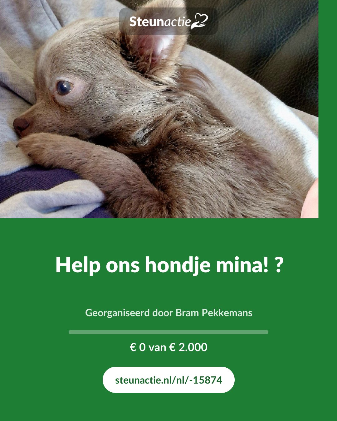 Voorbeeld van de afbeelding