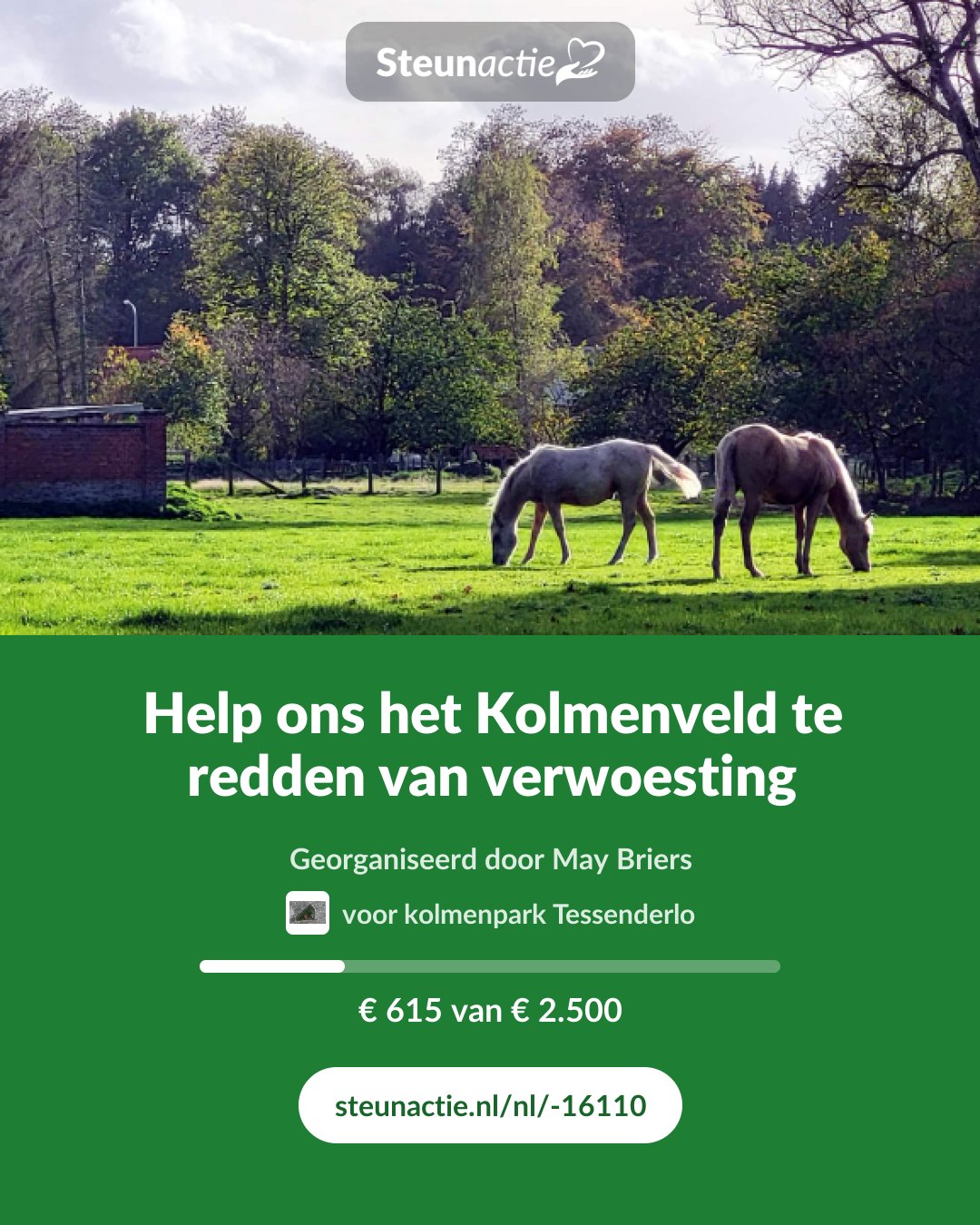 Voorbeeld van de afbeelding