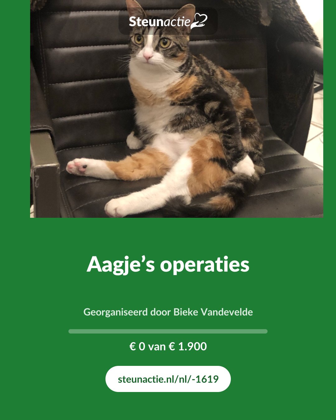 Voorbeeld van de afbeelding