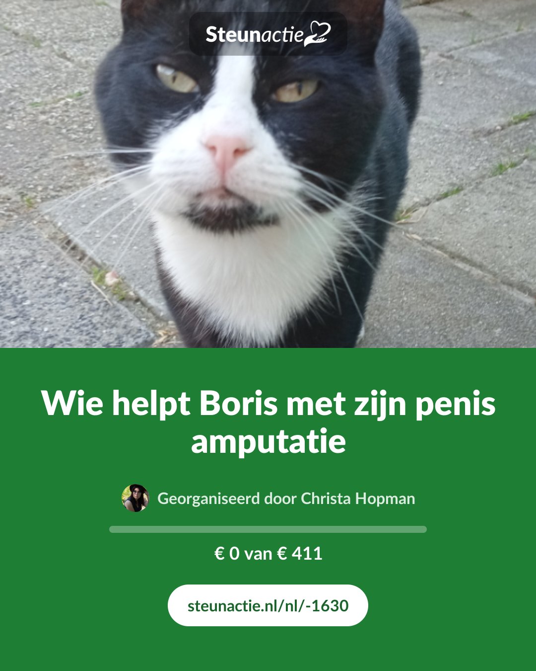 Voorbeeld van de afbeelding