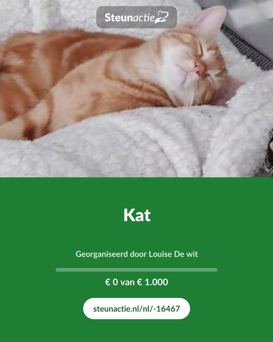 Voorbeeld van de afbeelding