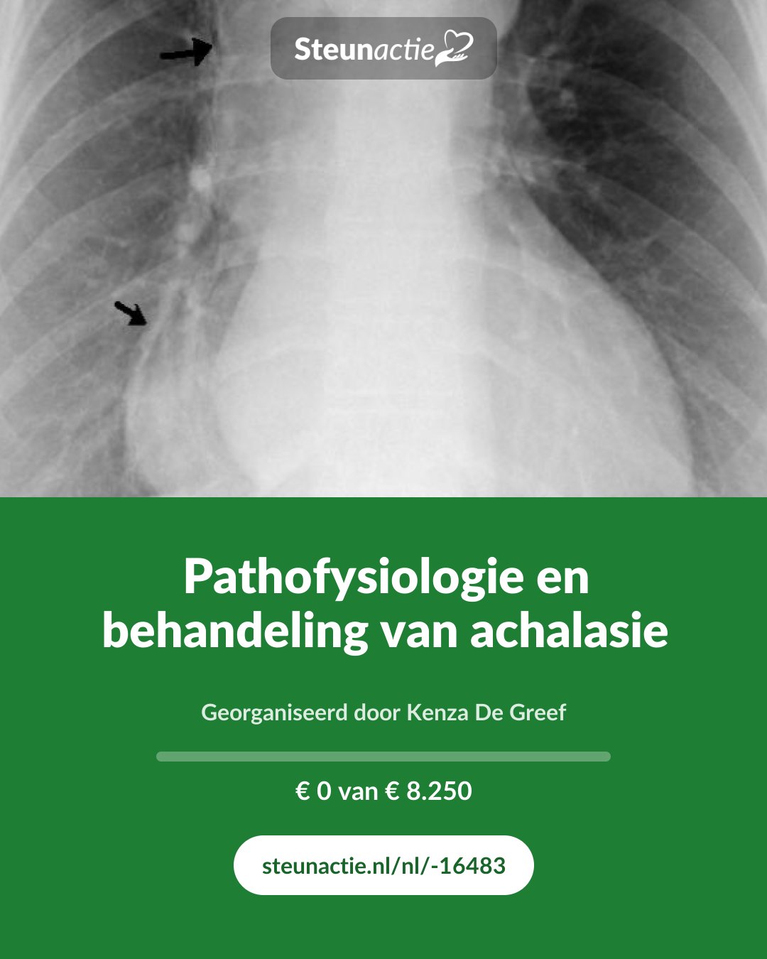 Voorbeeld van de afbeelding