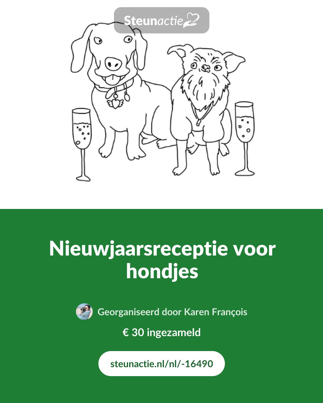 Voorbeeld van de afbeelding