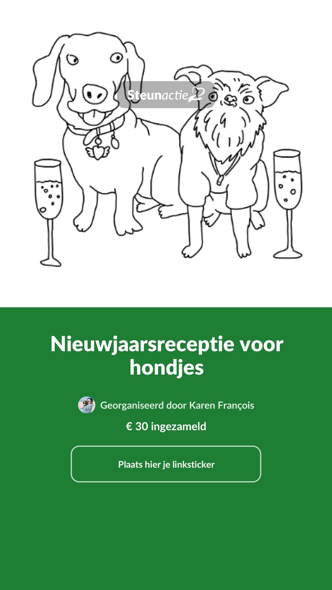 Voorbeeld van de afbeelding