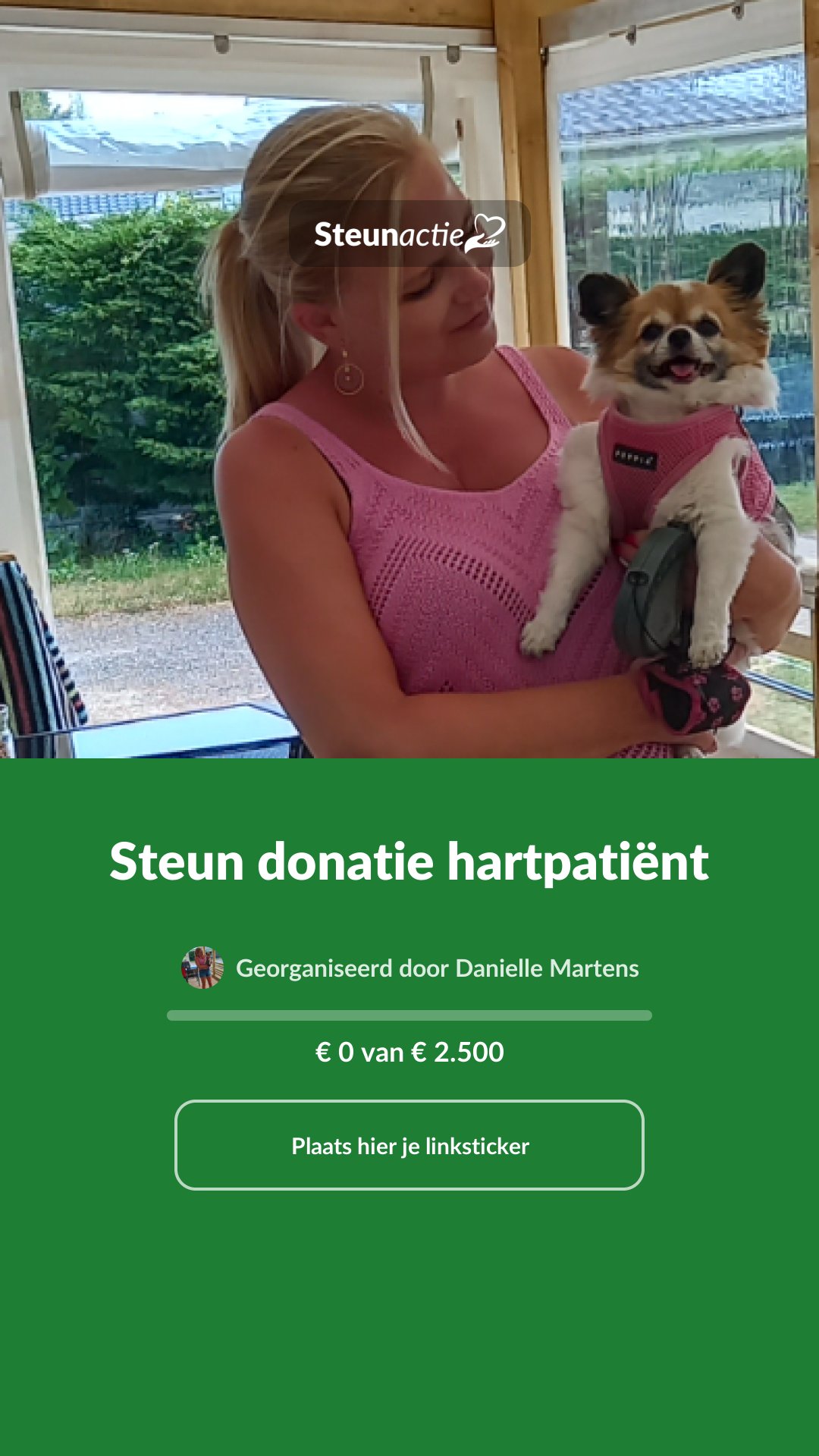 Voorbeeld van de afbeelding