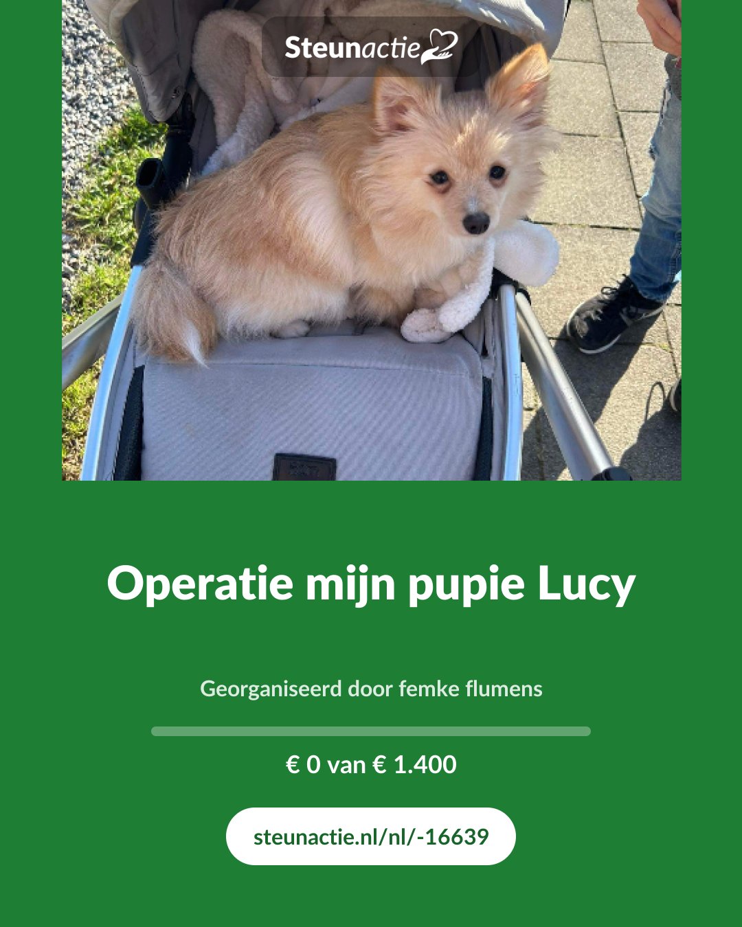 Voorbeeld van de afbeelding