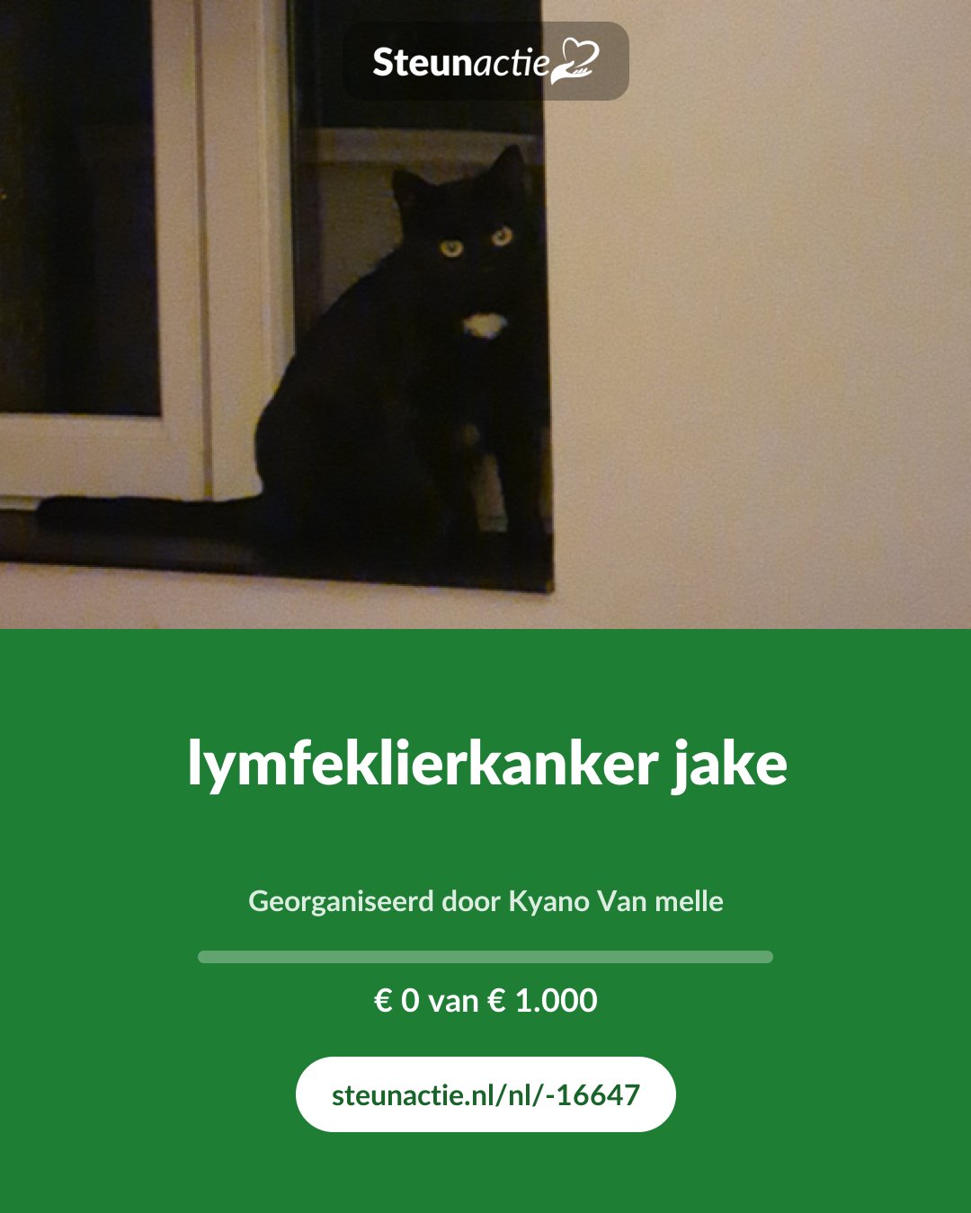 Voorbeeld van de afbeelding