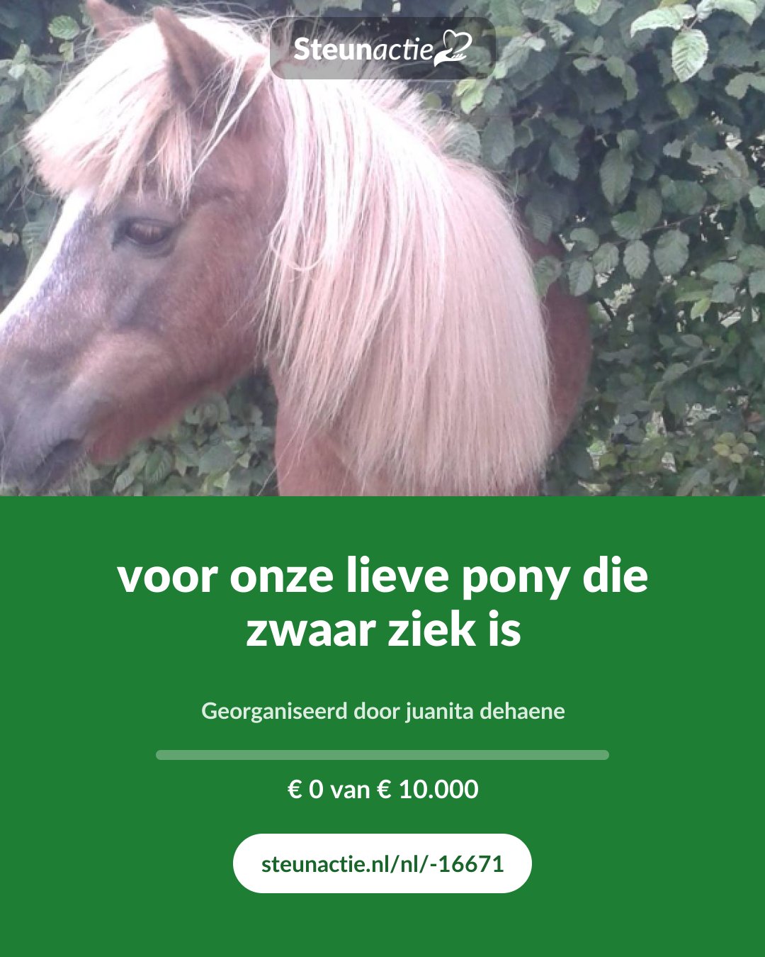 Voorbeeld van de afbeelding