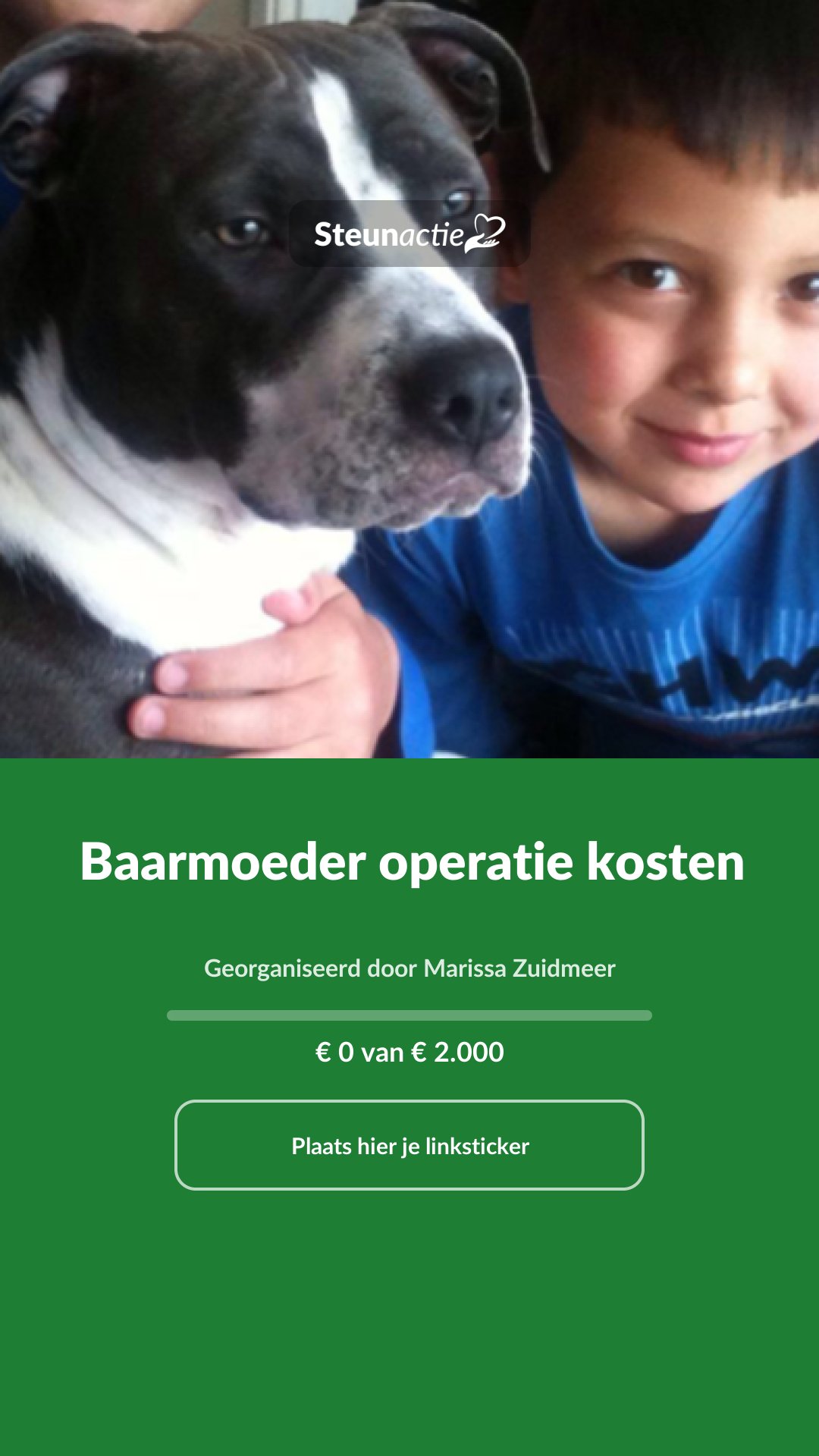 Voorbeeld van de afbeelding
