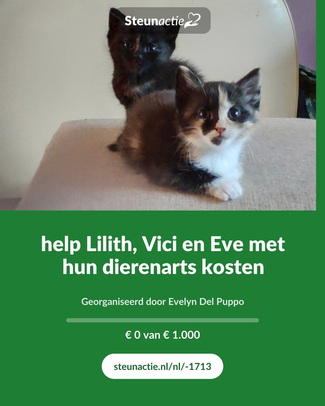 Voorbeeld van de afbeelding