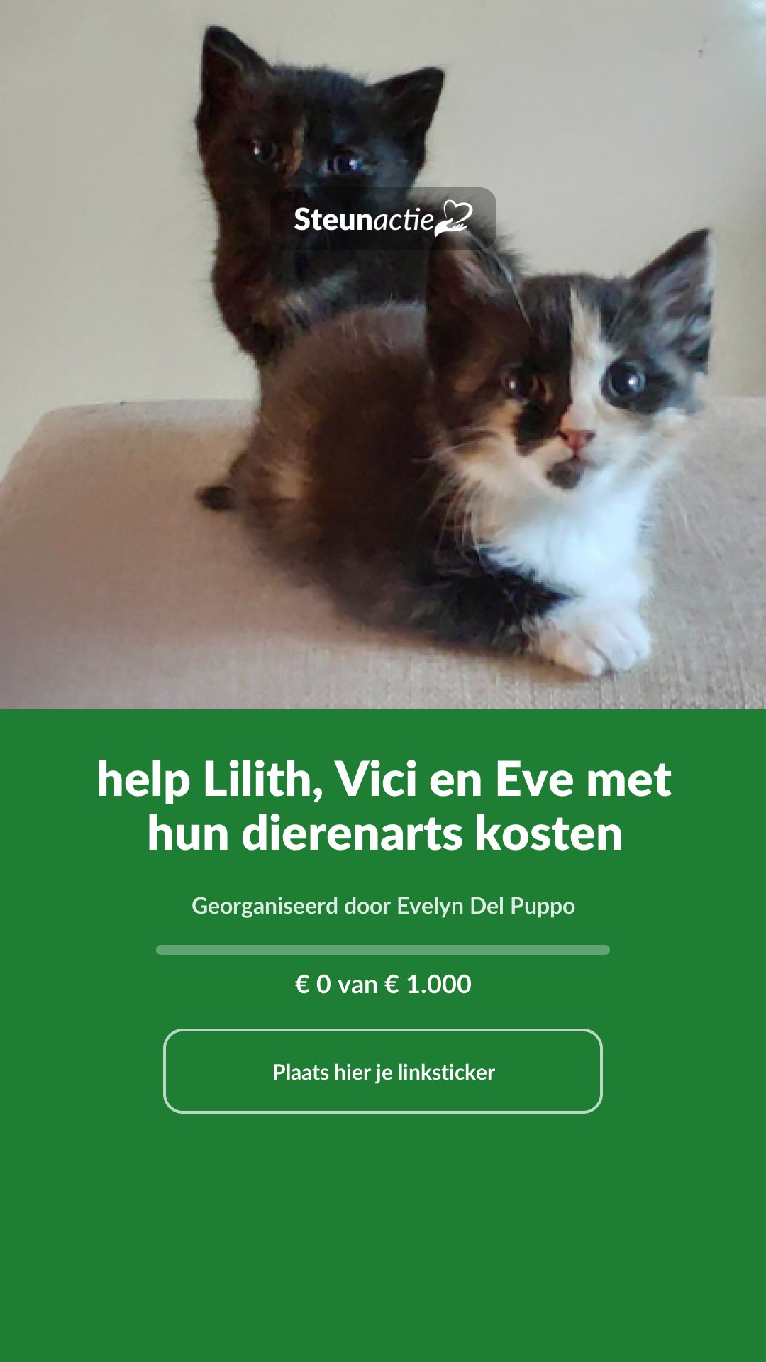 Voorbeeld van de afbeelding