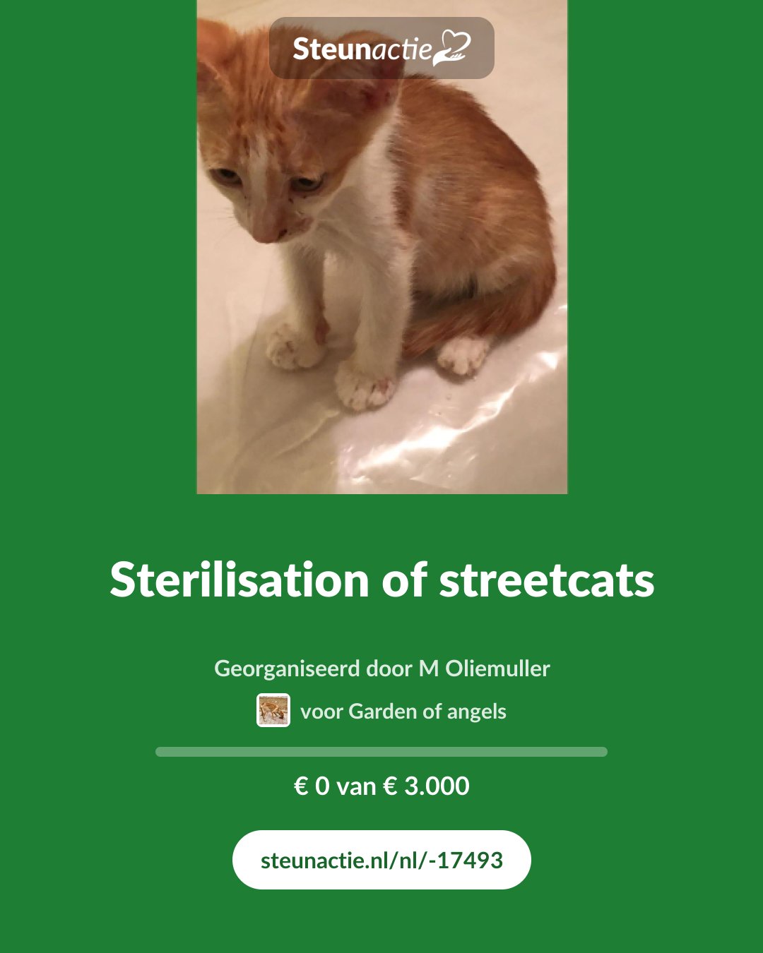 Voorbeeld van de afbeelding