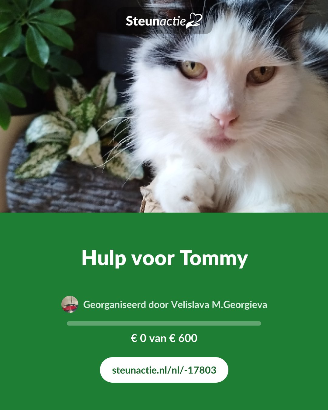 Voorbeeld van de afbeelding