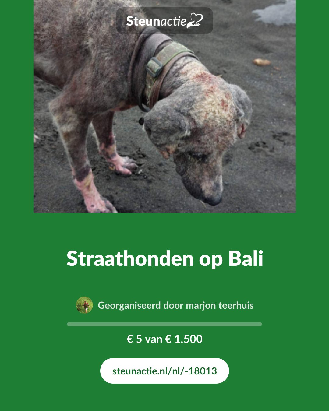 Voorbeeld van de afbeelding