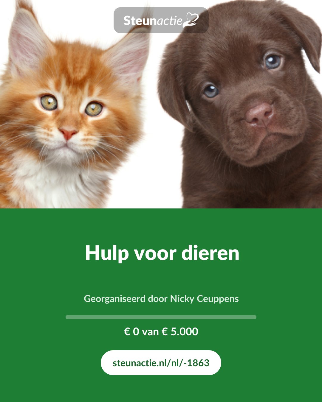 Voorbeeld van de afbeelding