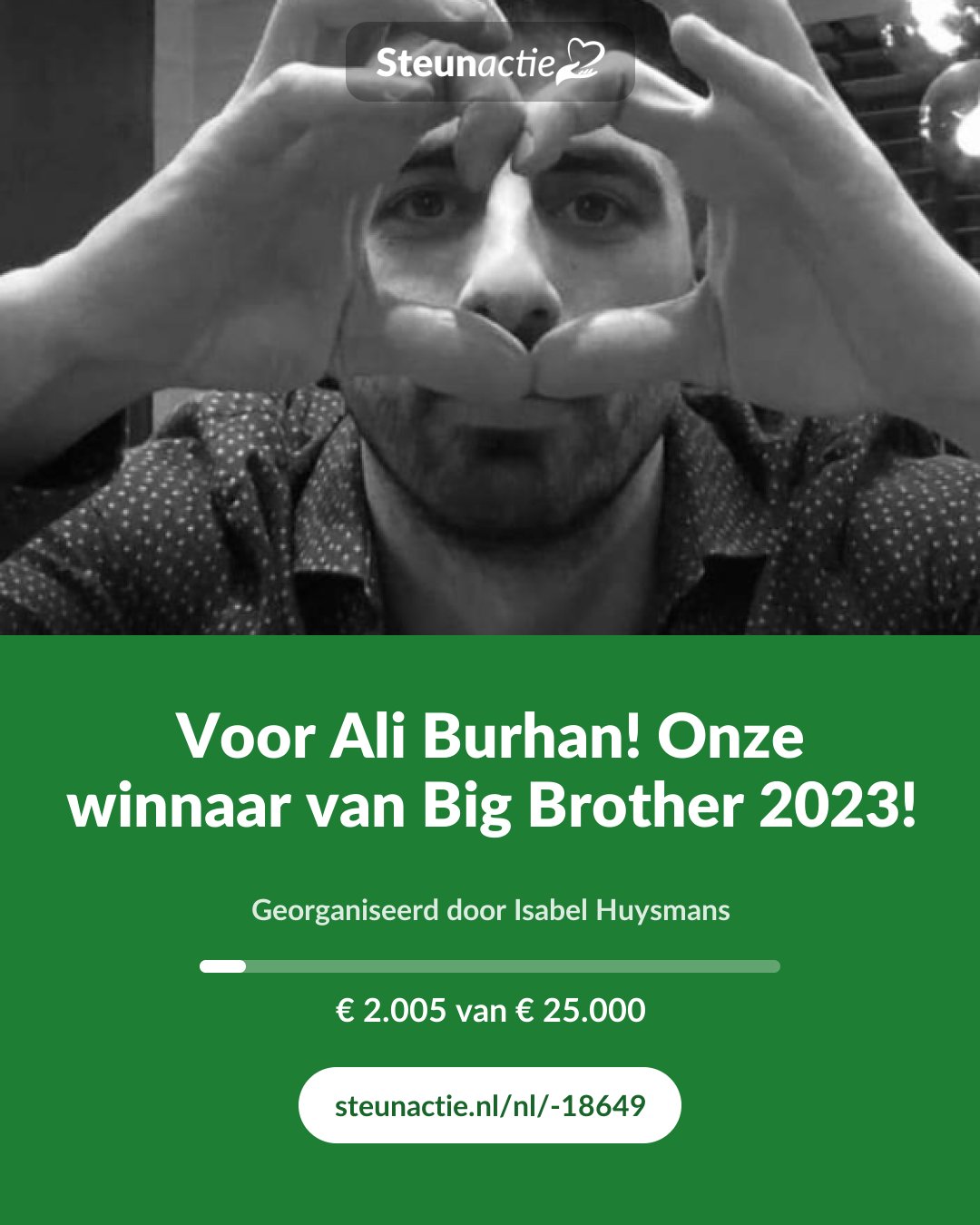 Voorbeeld van de afbeelding