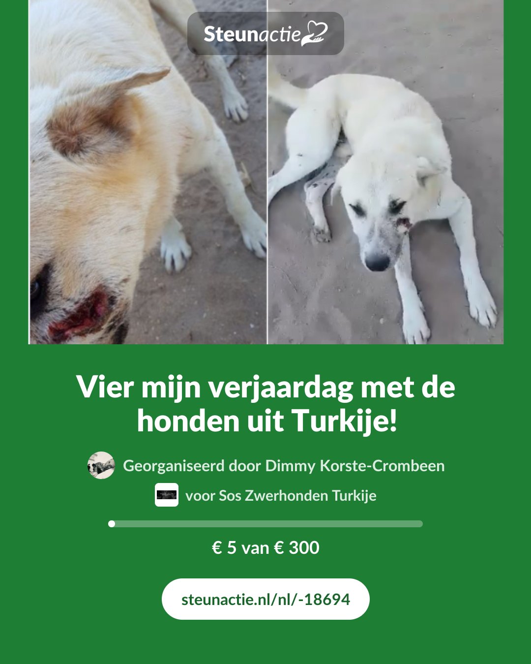 Voorbeeld van de afbeelding