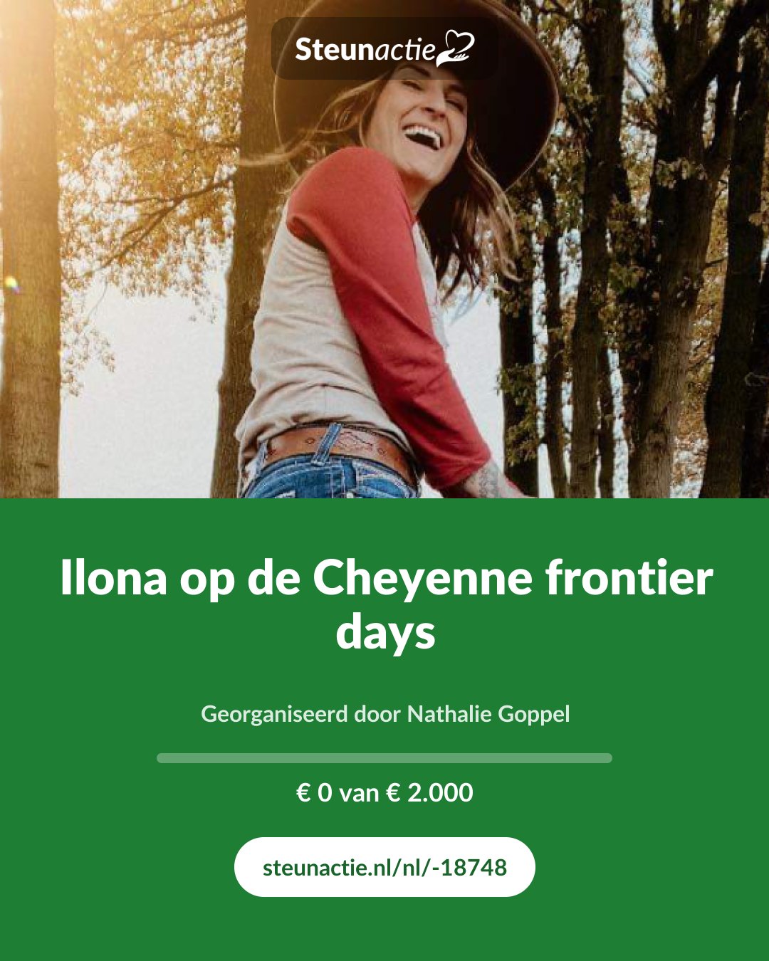Voorbeeld van de afbeelding