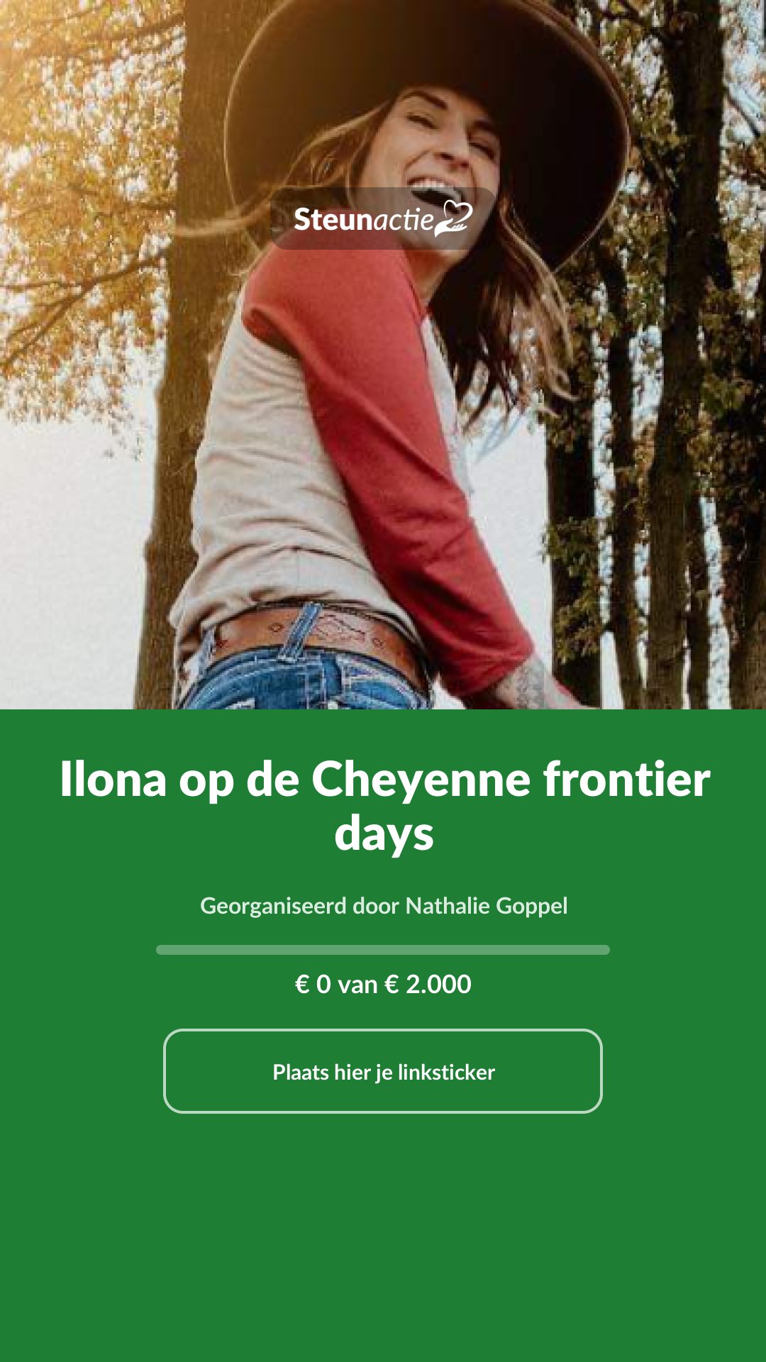Voorbeeld van de afbeelding