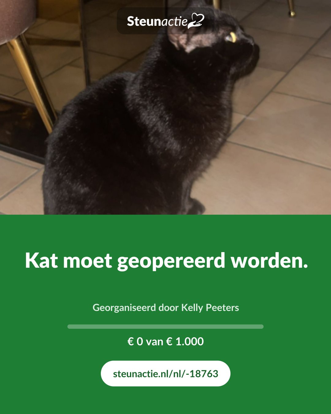 Voorbeeld van de afbeelding