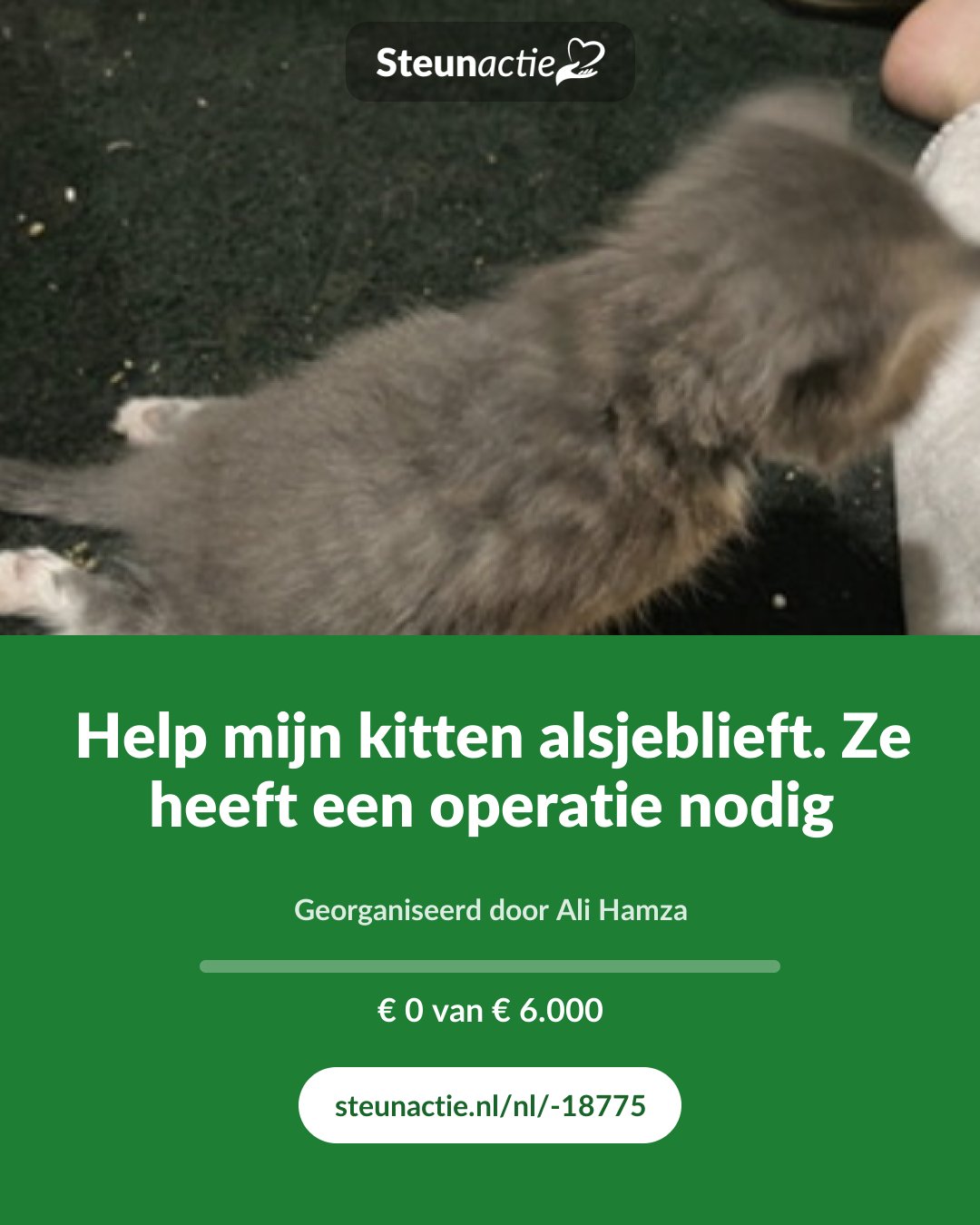 Voorbeeld van de afbeelding
