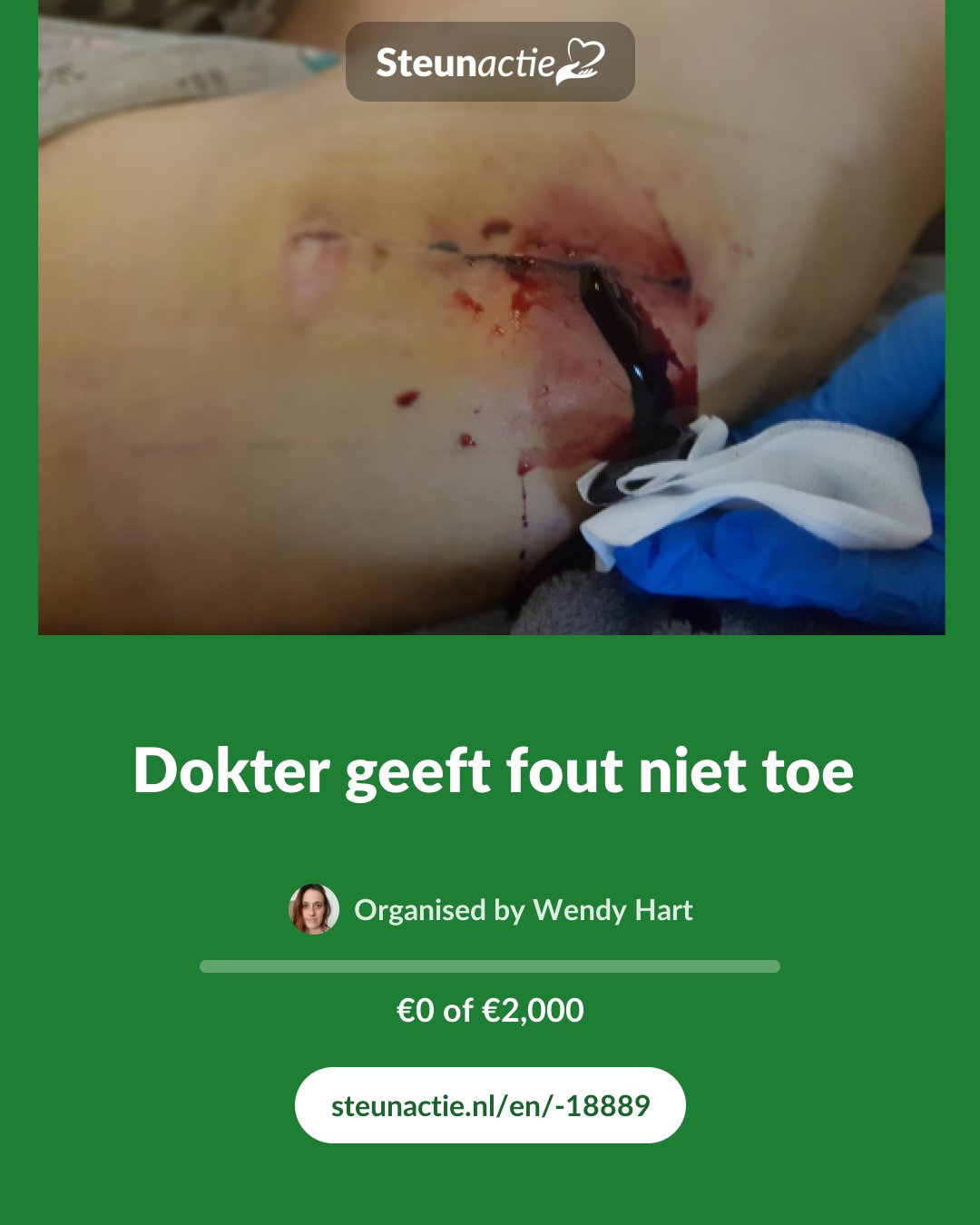 Preview of the image