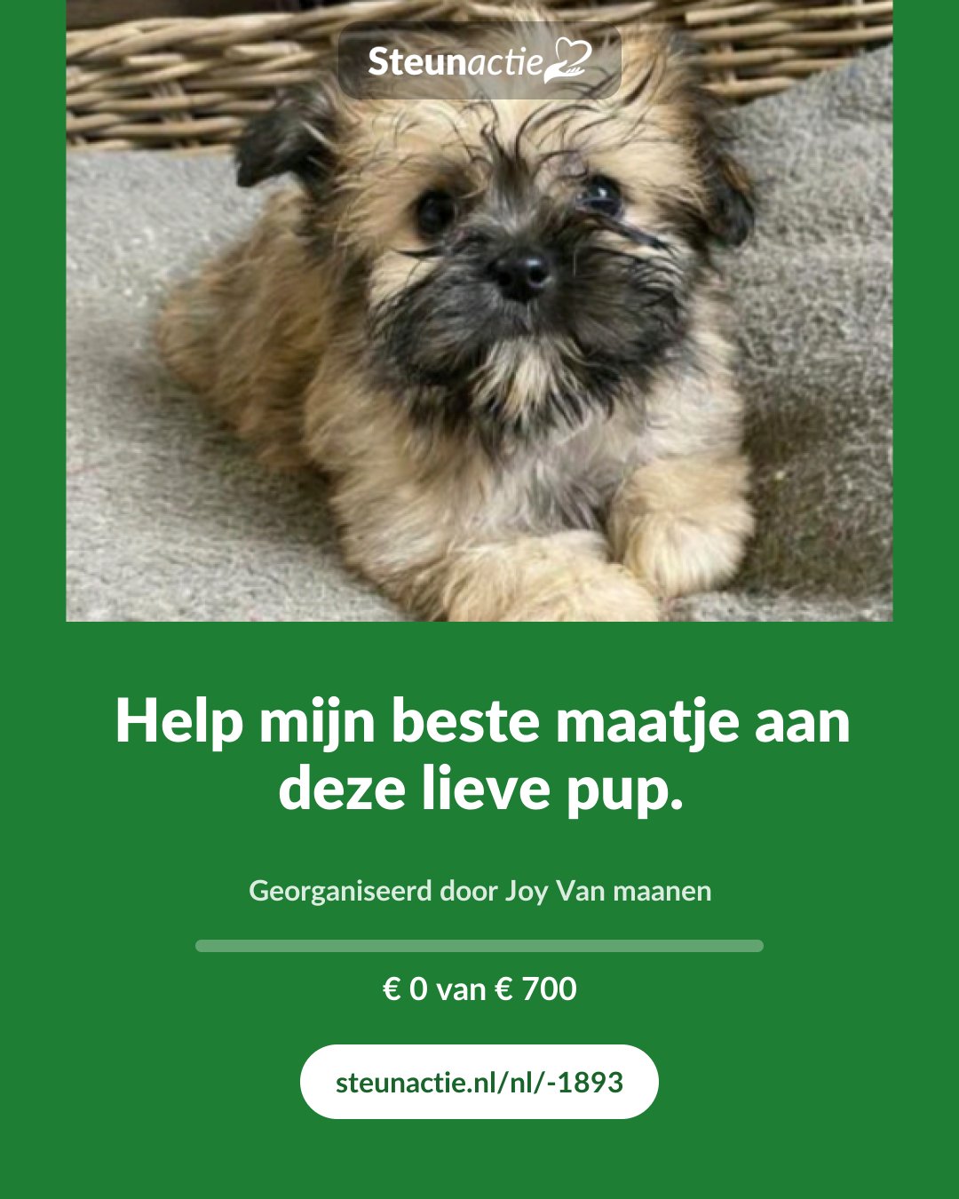 Voorbeeld van de afbeelding