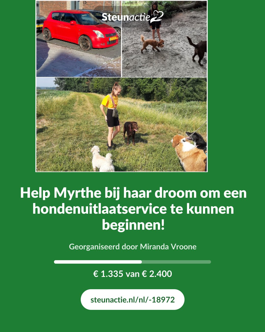 Voorbeeld van de afbeelding