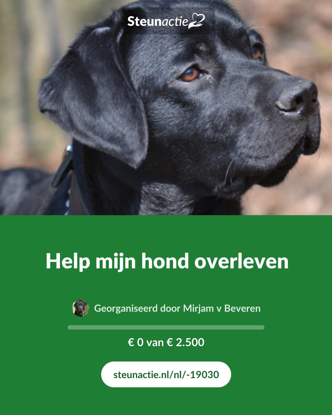 Voorbeeld van de afbeelding