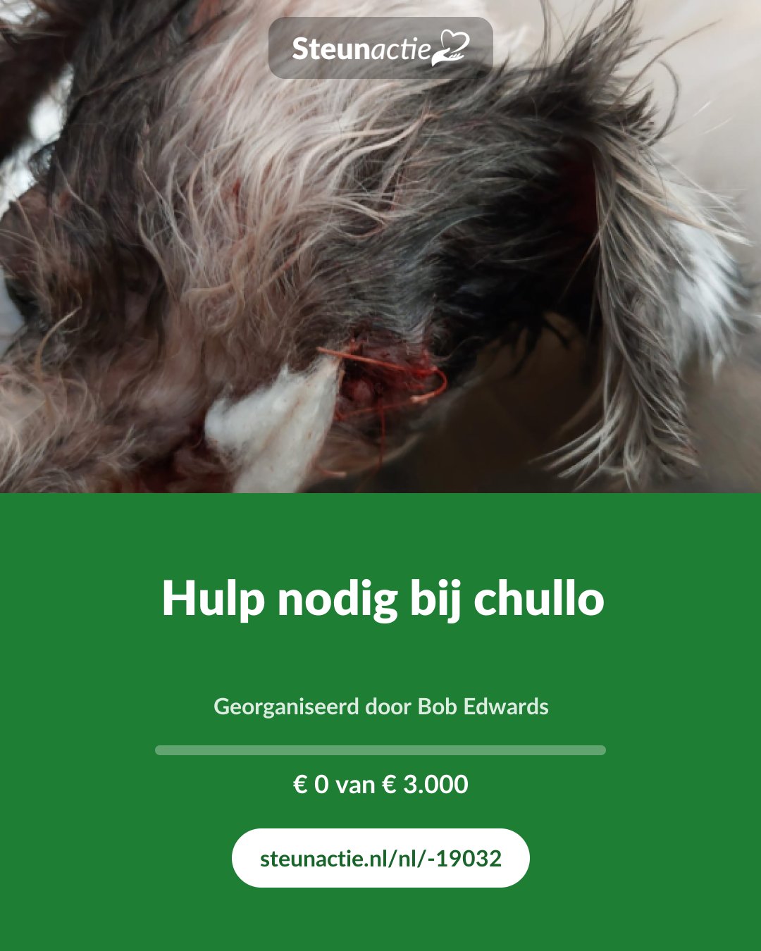 Voorbeeld van de afbeelding
