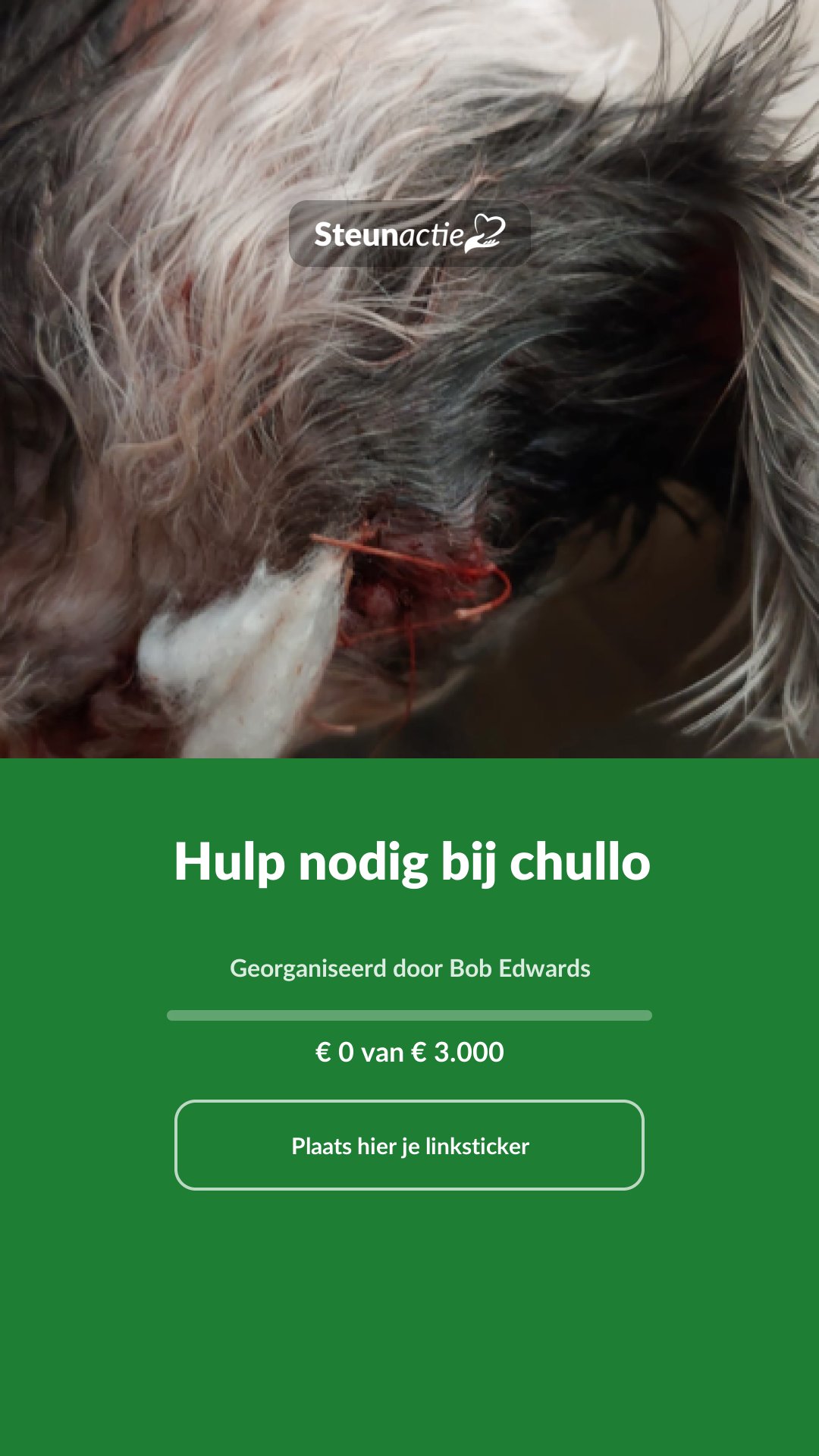 Voorbeeld van de afbeelding