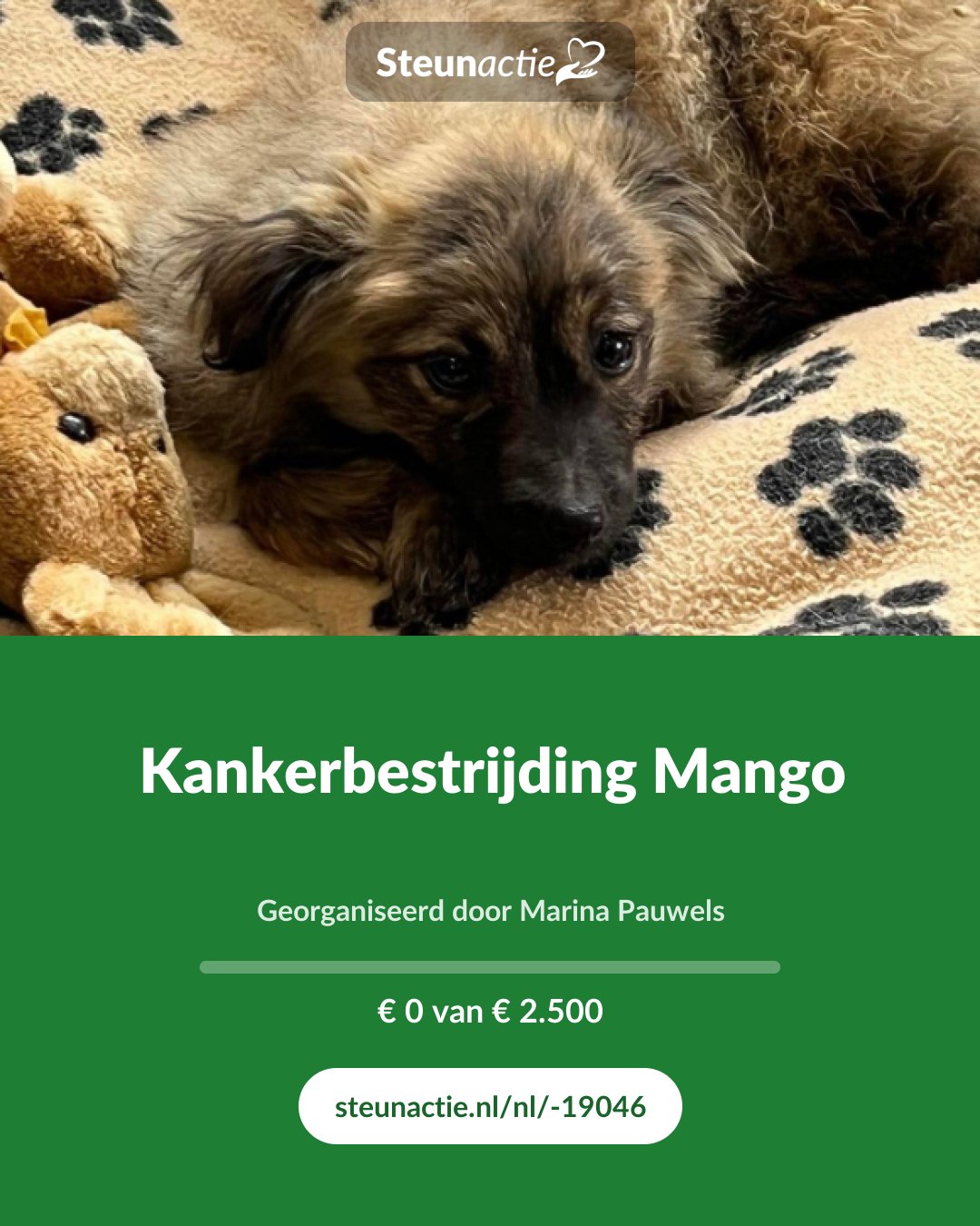Voorbeeld van de afbeelding