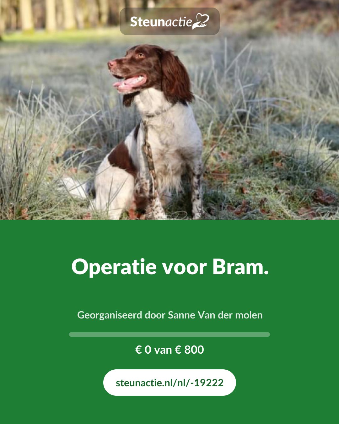 Voorbeeld van de afbeelding