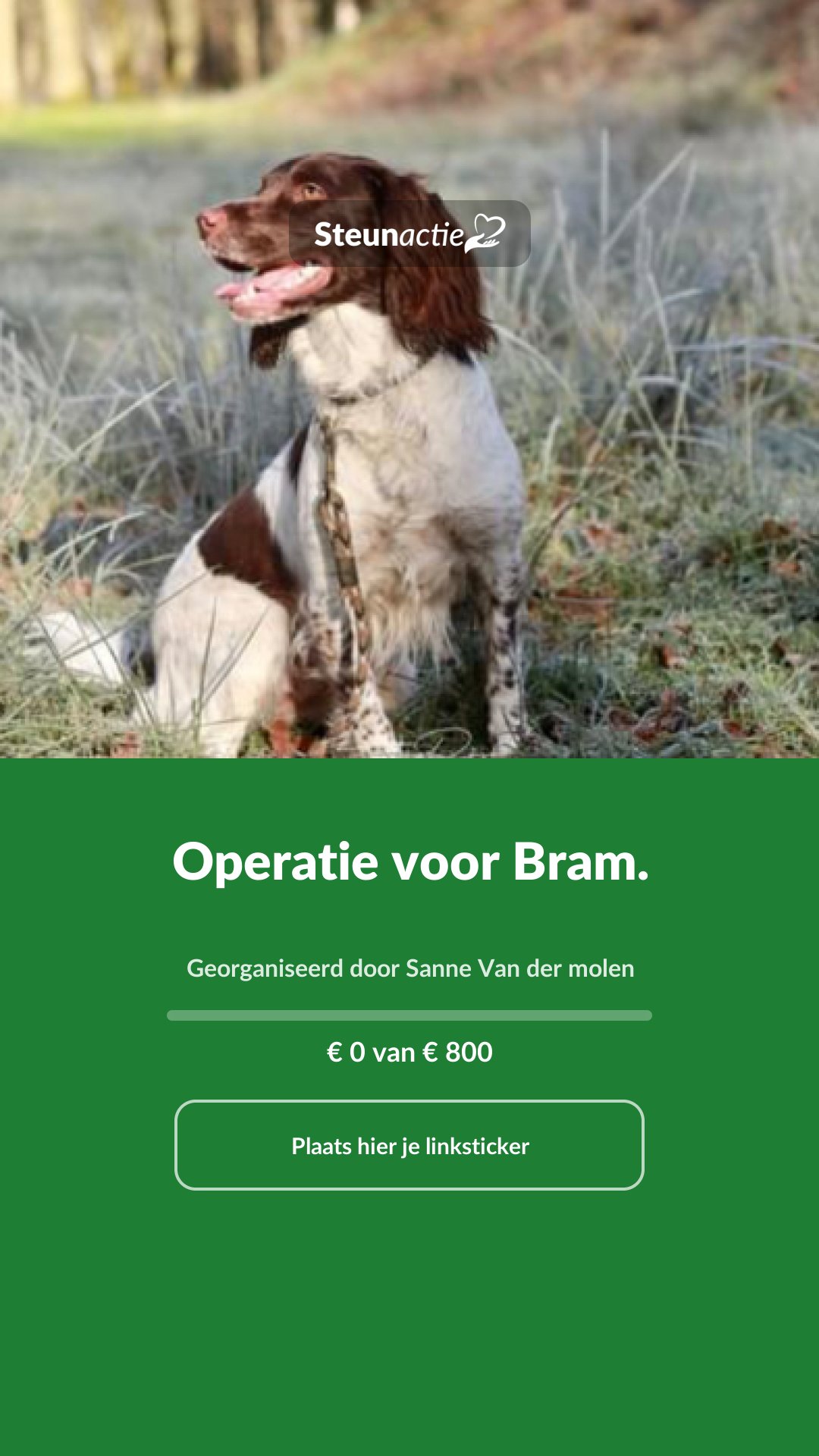 Voorbeeld van de afbeelding