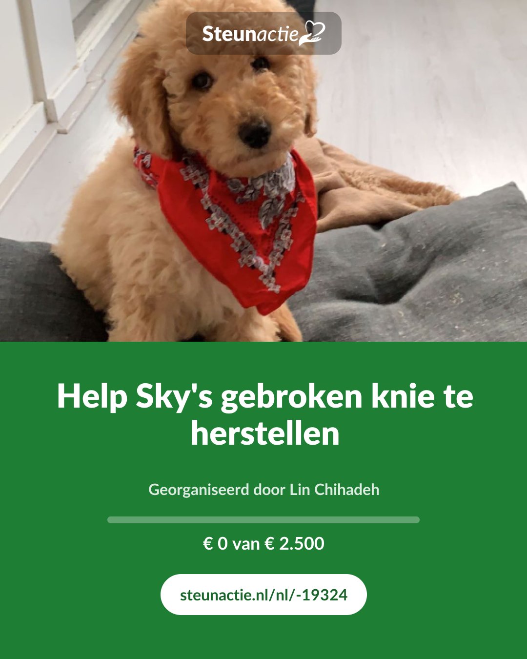 Voorbeeld van de afbeelding